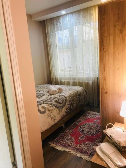 Arya One Bedroom Comfortable Flat In Cihangir Apartment